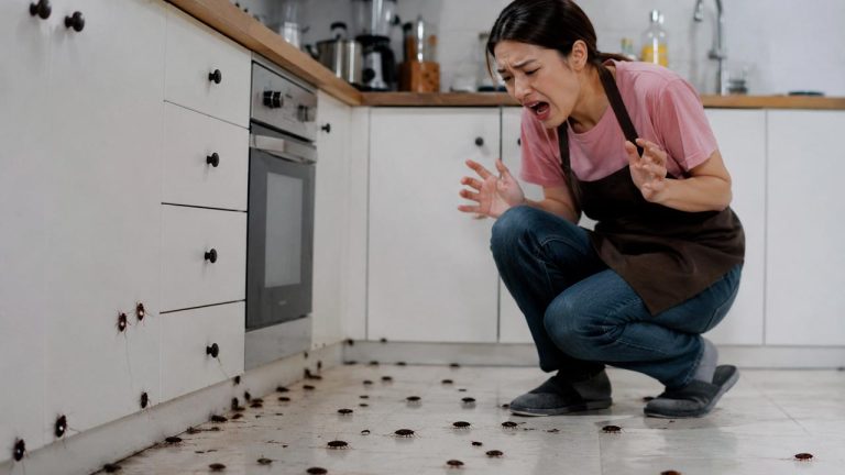Mẹo diệt gián hiệu quả trong nhà bếp với nhiều gián xuất hiện