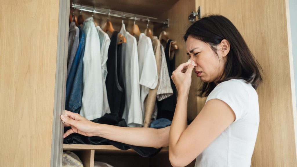 8 Mẹo Giữ Tủ Quần Áo Thơm Tự Nhiên Đơn Giản Mà Hiệu Quả