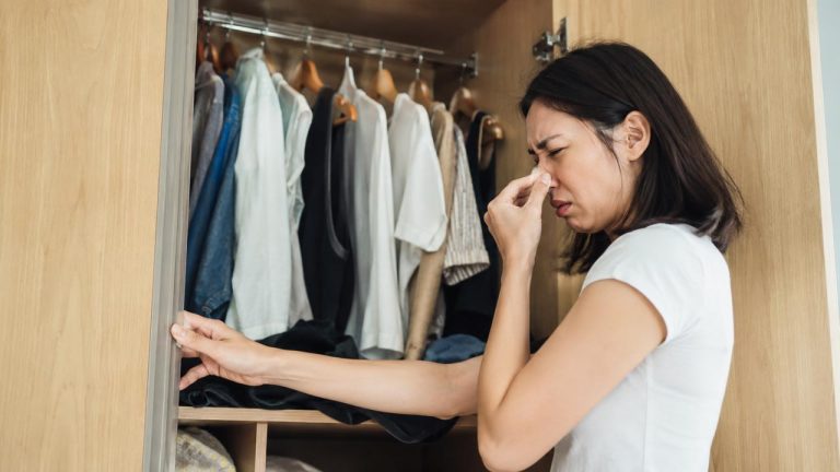 Mẹo giữ tủ quần áo thơm tự nhiên giúp khử mùi hôi khó chịu