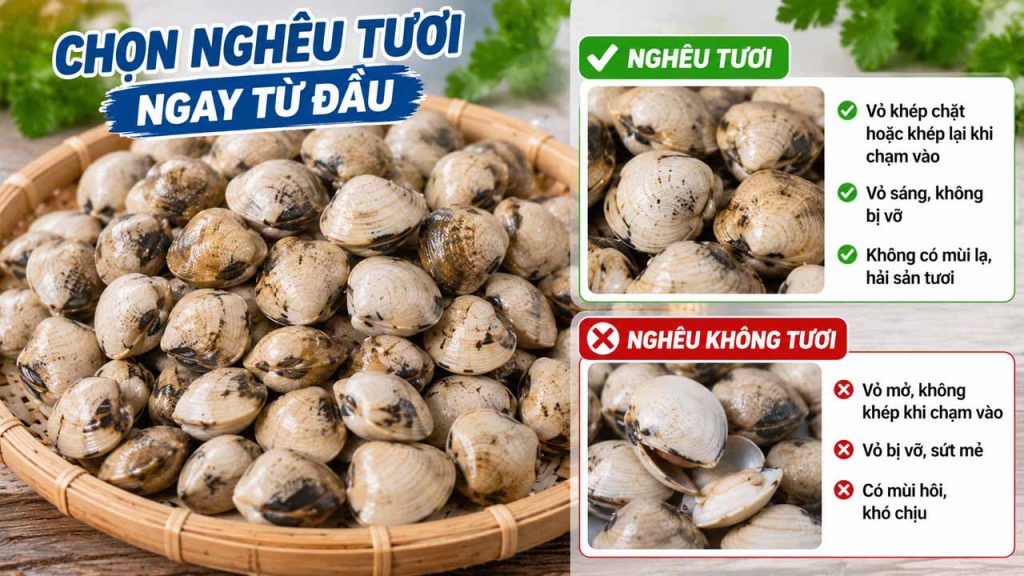 Cách chọn nghêu tươi giúp làm sạch và chế biến dễ hơn