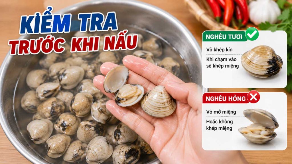 Kiểm tra nghêu trước khi nấu để loại bỏ nghêu chết