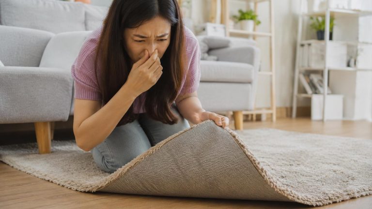 Mẹo khử mùi thảm hiệu quả tại nhà