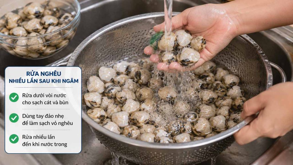 Rửa nghêu nhiều lần dưới vòi nước sau khi ngâm