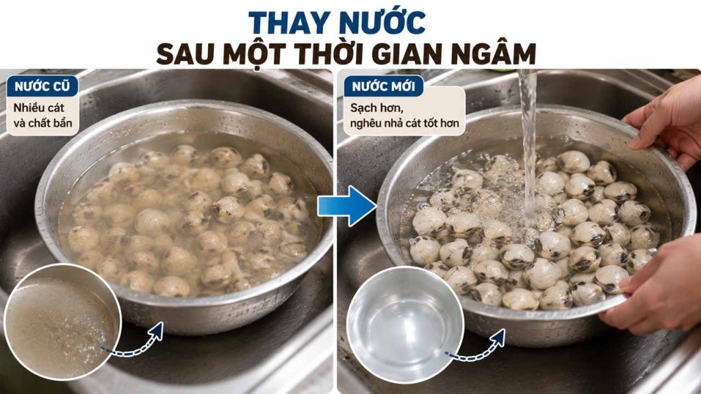 Thay nước sau khi ngâm nghêu giúp loại bỏ cát và chất bẩn
