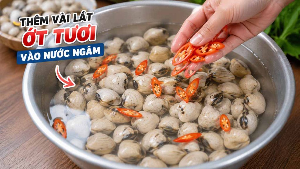 Thêm vài lát ớt tươi vào nước ngâm nghêu để kích thích nhả cát