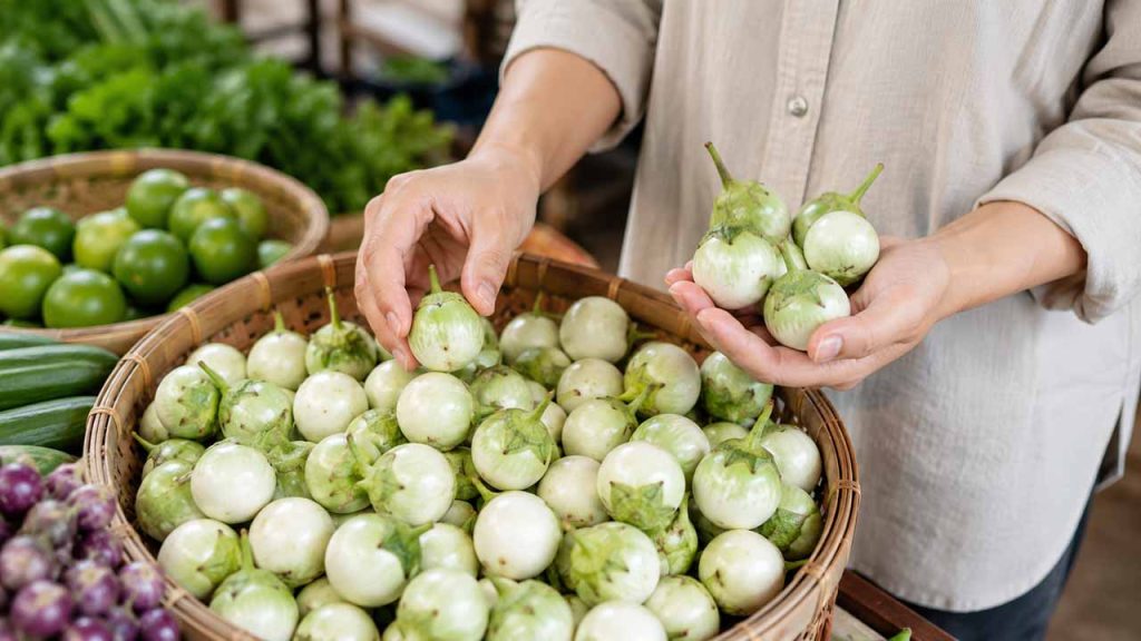 Người mua lựa chọn những quả cà pháo tươi, đều màu và không bị dập