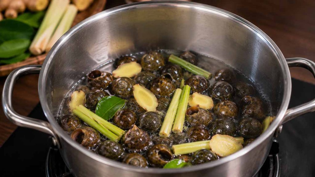 Luộc ốc với lượng nước vừa đủ