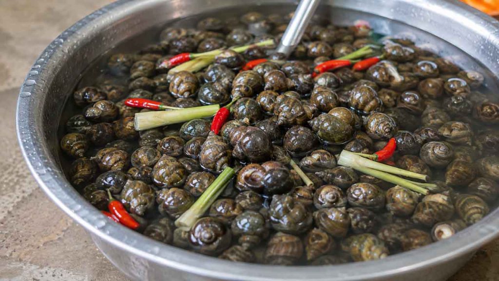 Ngâm ốc trong nước để nhả sạch bùn đất